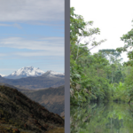 Hochanden und Amazonas-Tiefland ©Dr. Christoph Hinkelmann