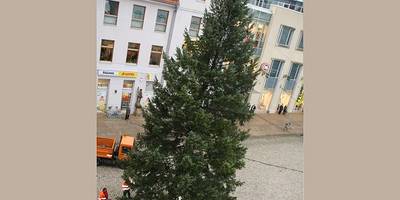 Weihnachtsbaum wurde aufgestellt