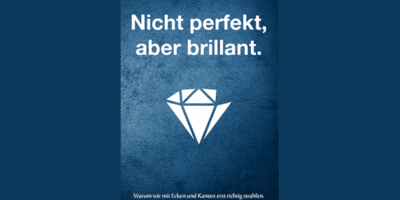 Nicht perfekt aber brillant (Cover Buch) ©Bettina Becker